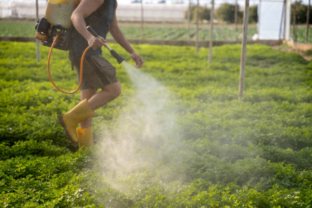 Best Pest Control Treatment  in Maryvle, IL