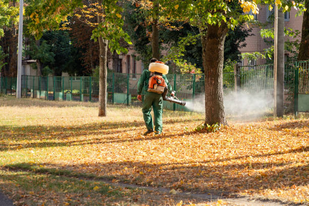 Best Best Pest Control Companies  in Maryvle, IL