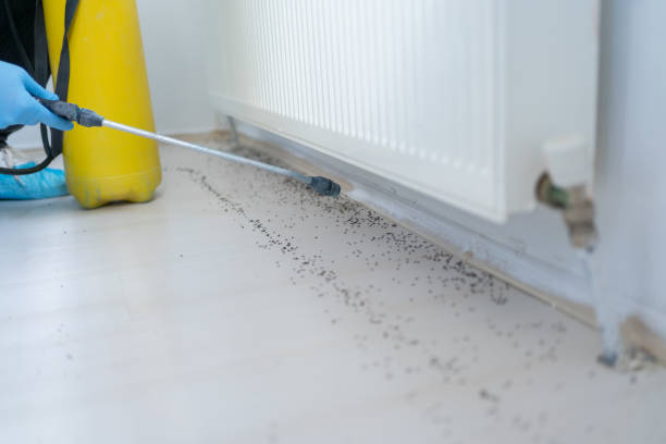 Best Pest Prevention Services  in Maryvle, IL