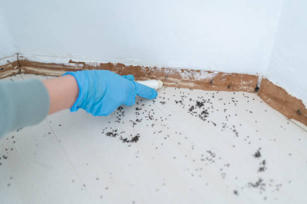 Best Exterminator Services  in Maryvle, IL