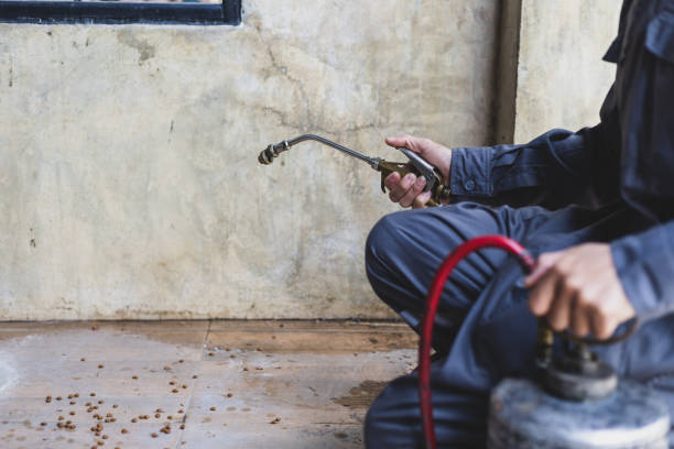 Best Pest Control Near Me  in Maryvle, IL