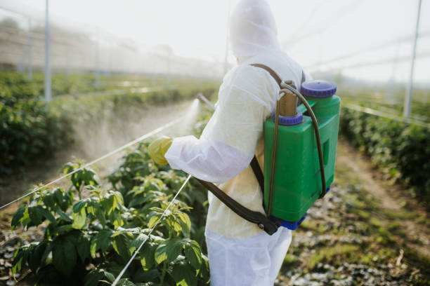 Maryville, IL Pest Control Company